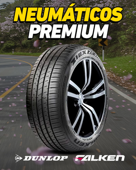 Neum&aacute;ticos Premium